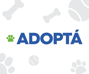 MUNI SALTA ADOPTA 19-09-25 WIDE